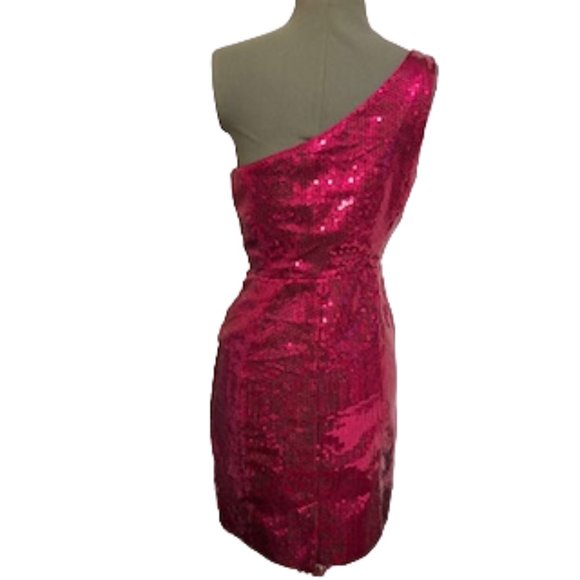 FOREVER 21 Hot Pink Fitted Sequin Dress Size Large NWT (Partial Tag) - Picture 4 of 16